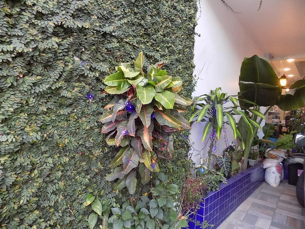 Albergue Rio Vermelho السلفادور المظهر الخارجي الصورة