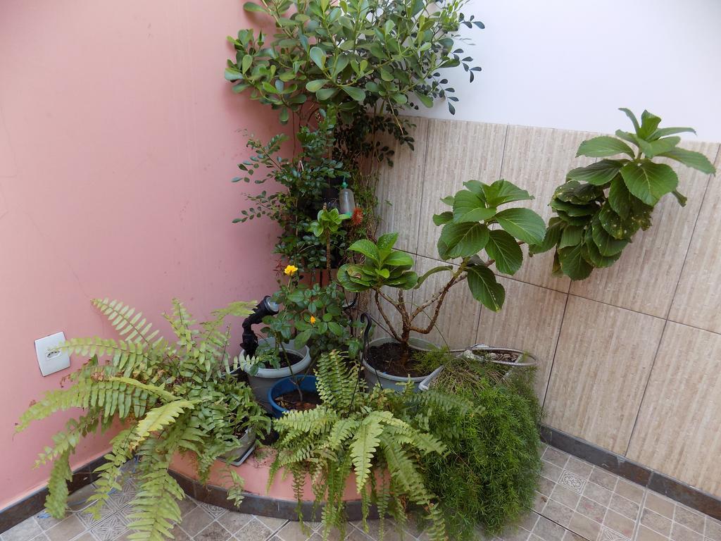 Albergue Rio Vermelho السلفادور المظهر الخارجي الصورة
